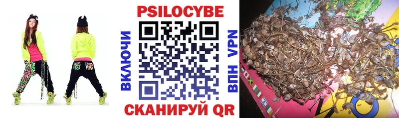 Псилоцибиновые грибы прущие грибы  Купить закладки  Кузнецк 